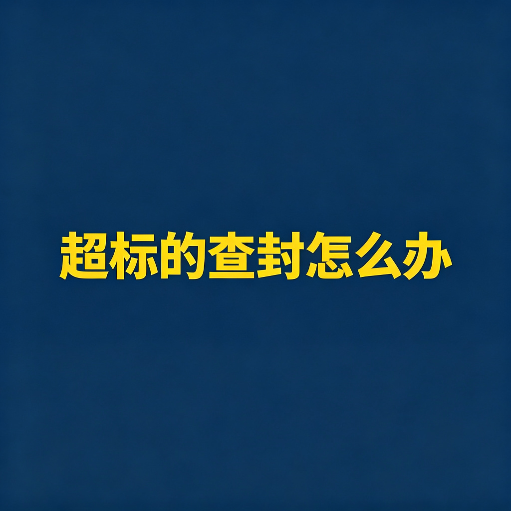 法院超标的查封怎么办？怎么提异议？