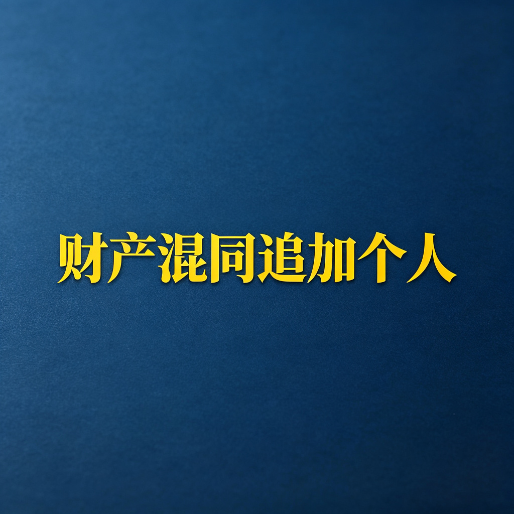 老赖把公司财产和个人财产混同，直接追加